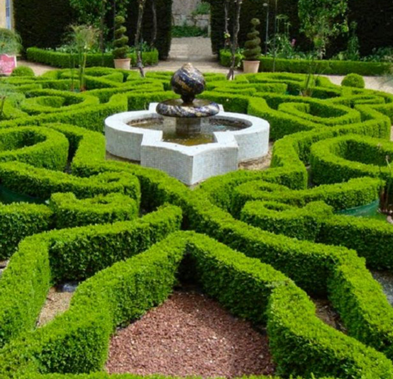Illustrative foliage image accompanying the Euonymus catalogue spread