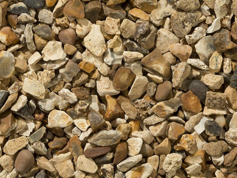 Golden Flint shown dry